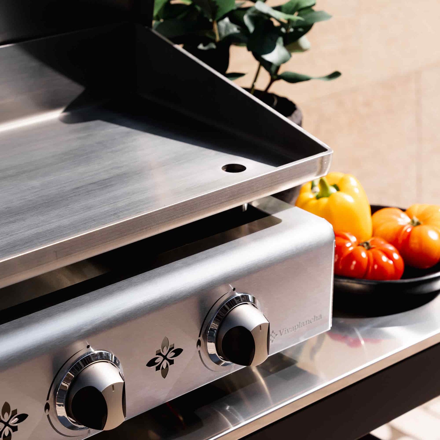 Plancha inox Vivaplancha à deux boutons de réglage, plaque de cuisson en acier inoxydable et légumes colorés (poivrons et tomates) posés dans un bol à côté.